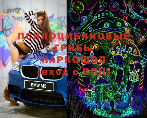 PSILOCYBIN Зеленокумск
