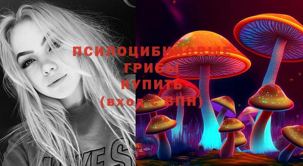 PSILOCYBIN Зеленокумск