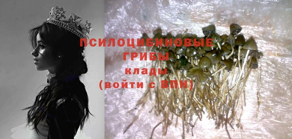 PSILOCYBIN Зеленокумск