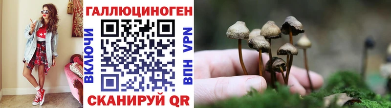 Псилоцибиновые грибы Magic Shrooms  Купить закладки  Партизанск 